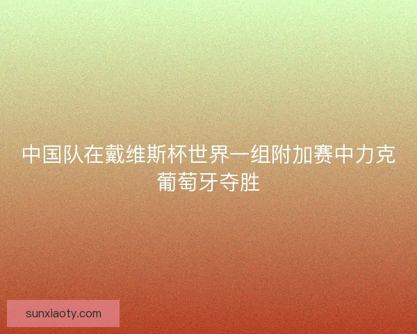 中国队在戴维斯杯世界一组附加赛中力克葡萄牙夺胜